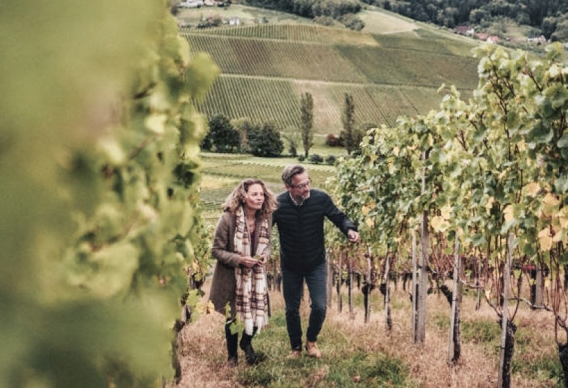 visit tasting 2