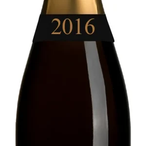 Champagne Premier Cru Clos Andrea 2016 Brut Nature