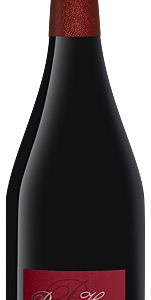 Coteau Champenois Bouzy Rouge 2018 – Rémi Henry